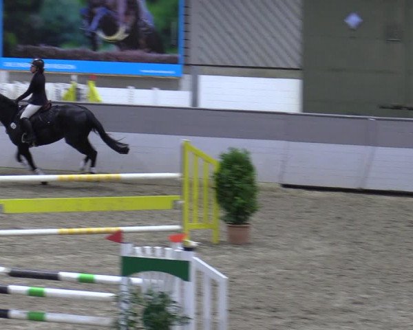Late Entry Springturnier Luhmühlen 2022