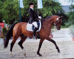 dressage horse Roi de reve (Württemberger, 2001, from Roxett)