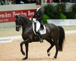 dressage horse Glock's Undercover (KWPN (Royal Dutch Sporthorse), 2001, from Ferro)