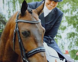 dressage horse Robby B (Westphalian, 2003, from Rockwell)