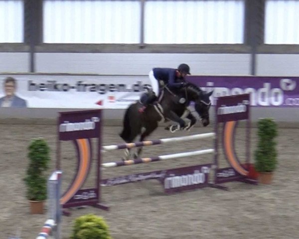jumper John Doe 5 (KWPN (Royal Dutch Sporthorse), 2014, from Kannan)