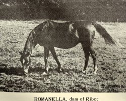 broodmare Romanella xx (Thoroughbred, 1943, from El Greco xx)