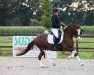 dressage horse Kara van Esseborg (German Riding Pony, 2010, from Kosmo van Esseborg)