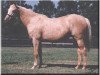 broodmare Distingold xx (Thoroughbred, 1994, from Gold Apollo xx)