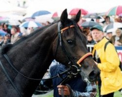 broodmare Aegina xx (Thoroughbred, 1994, from Goofalik xx)