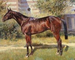 horse Tezej xx (Thoroughbred, 1907, from Cheers xx)