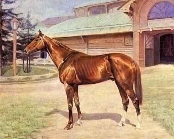 stallion Floreal xx (Thoroughbred, 1908, from Florizel xx)