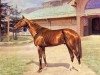 stallion Floreal xx (Thoroughbred, 1908, from Florizel xx)