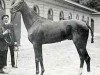 stallion Verdun xx (Thoroughbred, 1906, from Rabelais xx)