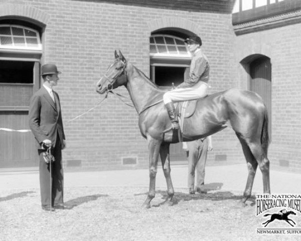 broodmare Scuttle xx (Thoroughbred, 1925, from Captain Cuttle xx)