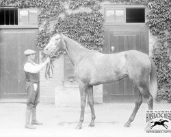 broodmare Tagalie xx (Thoroughbred, 1909, from Cyllene xx)