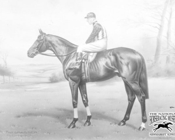 stallion Trespasser xx (Thoroughbred, 1916, from Kildare II xx)