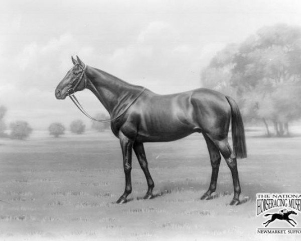 horse Troytown xx (Thoroughbred, 1913, from Zria xx)