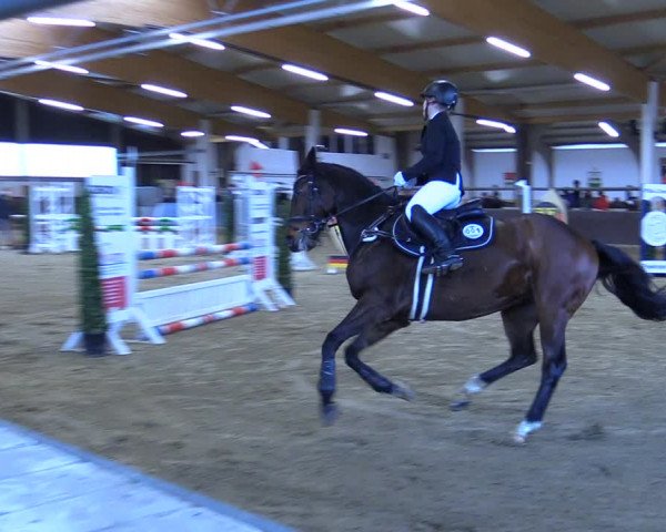 Reitturnier Olfen-Vinnum 2022
