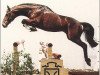 stallion Condrieu xx (Thoroughbred, 1987, from Top Ville xx)