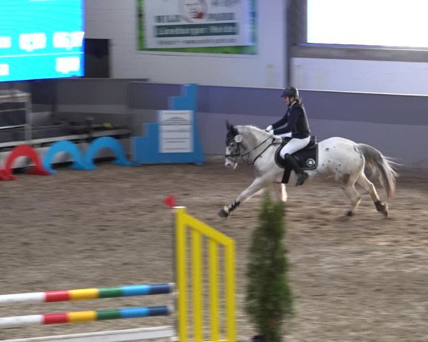 Late Entry Springturnier Luhmühlen 2022