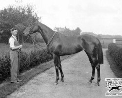 broodmare Udaipur xx (Thoroughbred, 1929, from Blandford xx)