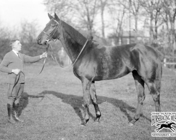 broodmare Toboggan xx (Thoroughbred, 1925, from Hurry On xx)