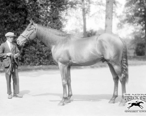 horse Salmon-Trout xx (Thoroughbred, 1921, from The Tetrarch xx)