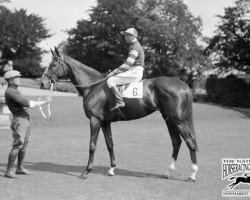 broodmare Rockfel xx (Thoroughbred, 1935, from Felstead xx)