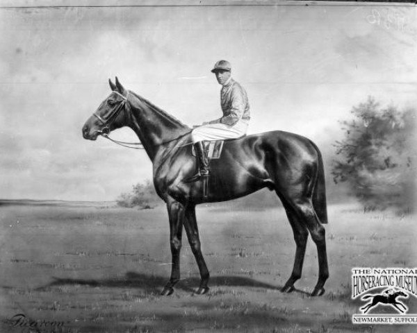 Pferd Picaroon xx (Englisches Vollblut, 1922, von Beppo xx)