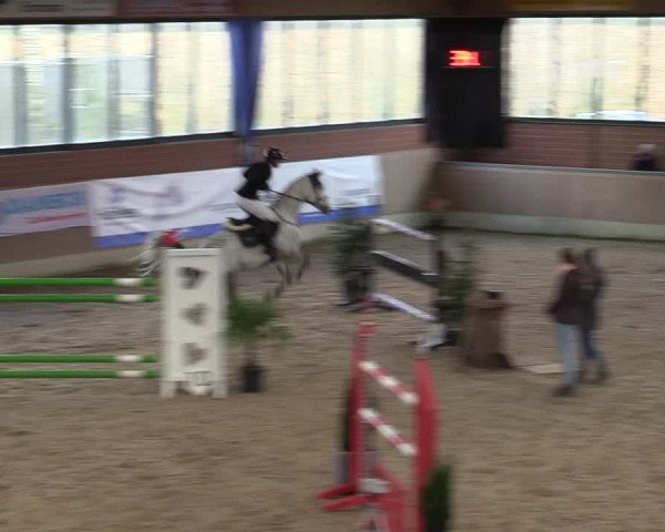 20. Hallen-Springturnier Heiden 2022