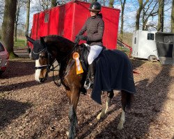 jumper Finkenhof's Pippa Blue (Rhinelander, 2017, from Plot Blue)