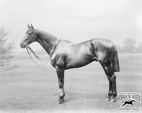 horse Ladas xx (Thoroughbred, 1891, from Hampton xx)