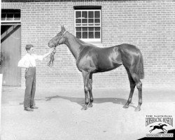 broodmare La Fleche xx (Thoroughbred, 1889, from Saint Simon xx)