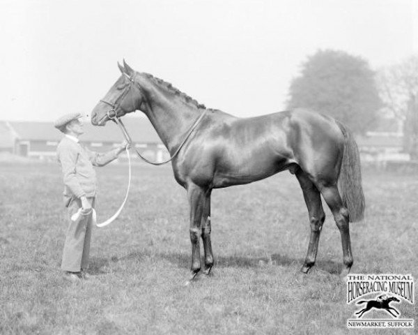 stallion King Salmon xx (Thoroughbred, 1930, from Salmon-Trout xx)