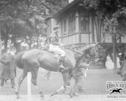 horse Jerry M xx (Thoroughbred, 1903, from Walmsgate xx)