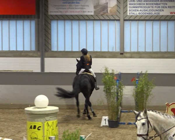 Late Entry Springturnier Luhmühlen 2022