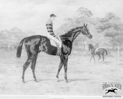 stallion Iroquois xx (Thoroughbred, 1878, from Leamington xx)