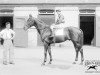 stallion Gainslaw xx (Thoroughbred, 1929, from Winalot xx)