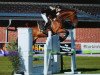 jumper Ass Cardo (German Sport Horse, 2007, from Askari)