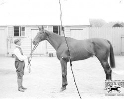 broodmare Glass Doll xx (Thoroughbred, 1904, from Isinglass xx)