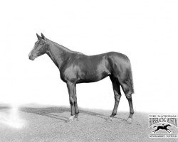 broodmare Golden Corn xx (Thoroughbred, 1919, from Golden Sun xx)