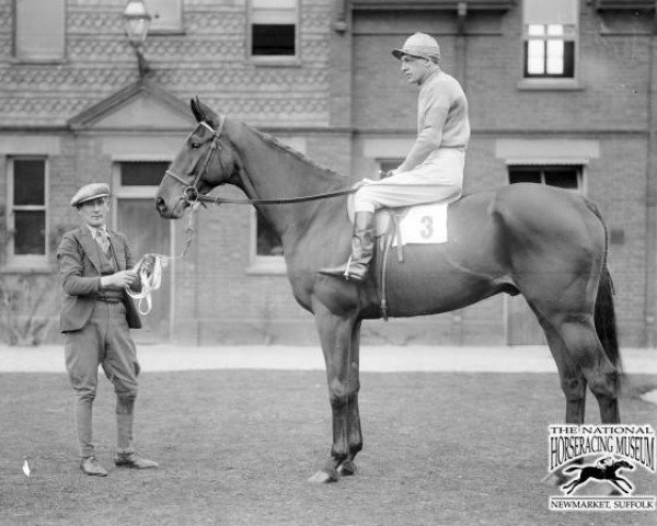 horse Golden Miller xx (Thoroughbred, 1927, from Goldcourt xx)