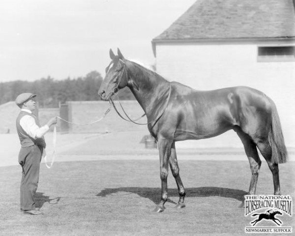 stallion Invershin xx (Thoroughbred, 1822, from Invincible xx)