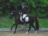 dressage horse Nova 66 (German Riding Pony, 2008, from Nabucco R)