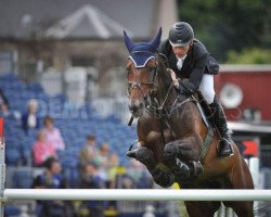 jumper Loughview Lou-Lou (Irish Sport Horse, 2002, from Limmerick)