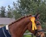 dressage horse Selected 3 (Westphalian, 2018, from Secret)