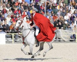 horse Nahdmi EAO (Arabian thoroughbred, 1999, from Serenity Habib EAO)