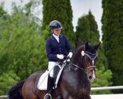 dressage horse FBW Bocaccio (German Sport Horse, 2016, from Bon Coeur)