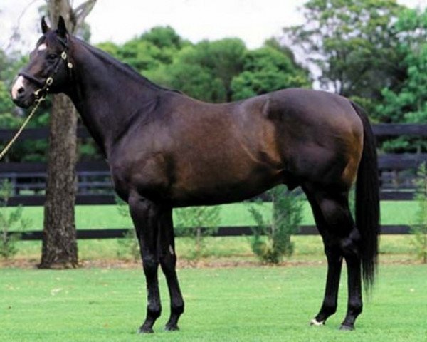 stallion Honour And Glory xx (Thoroughbred, 1993, from Relaunch xx)