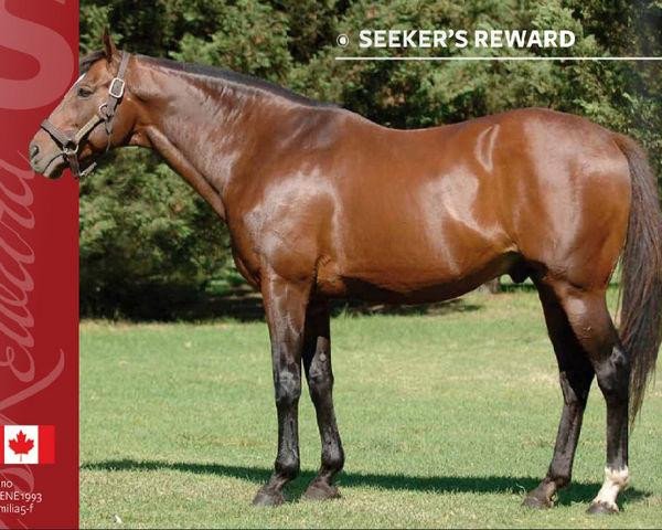 stallion Seeker's Reward xx (Thoroughbred, 1993, from Gone West xx)