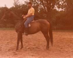 broodmare Morah (Mecklenburg, 1982, from Modus xx)