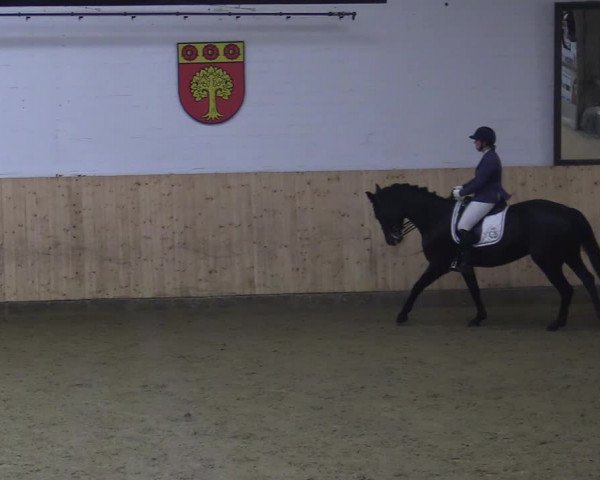 Reitturnier Olfen-Vinnum 2022