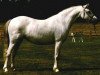 Deckhengst Riedeland's Orpheus (Welsh Mountain Pony (Sek.A), 2001, von Coed Coch Olfyr)