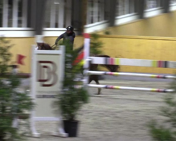 Spring- und Dressur Late Entry Münster-Amelsbüren 2022